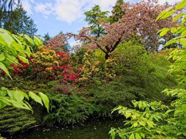 İlkbaharda açan yemyeşil bahçe laleler, çiçek tarlaları ve çimlerle