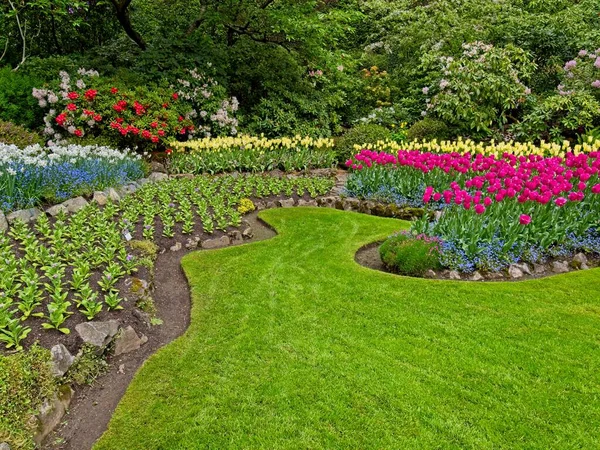 Bujny Ogród Kwitnący Wiosną Tulipanami Kwietnikami Trawnikami — Zdjęcie stockowe