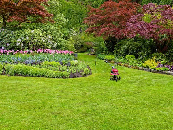 Lush garden blooming in the springtime with tulips, flowerbeds and lawns