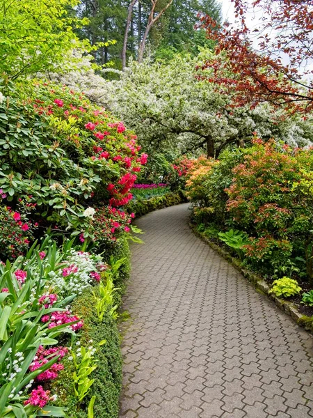 Exuberante Jardín Que Florece Primavera Con Tulipanes Macizos Flores Césped — Foto de Stock