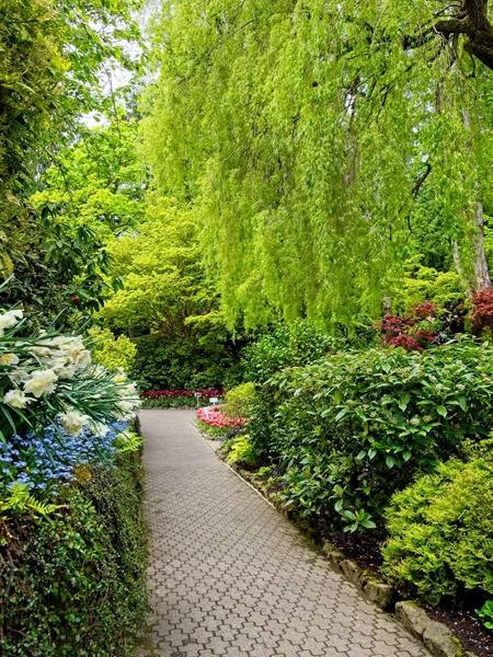 Lush garden blooming in the springtime with tulips, flowerbeds and lawns