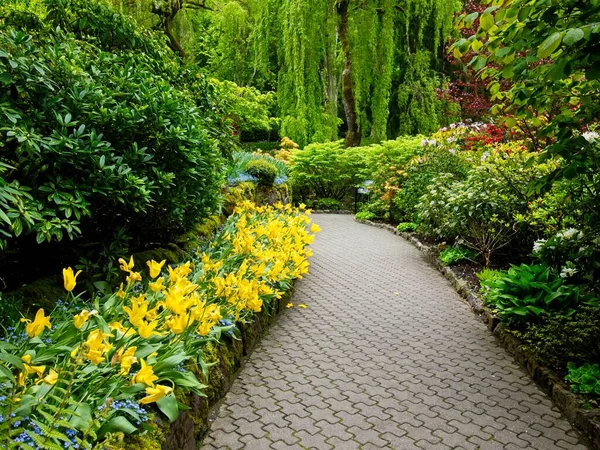 Exuberante Jardín Que Florece Primavera Con Tulipanes Macizos Flores Césped — Foto de Stock