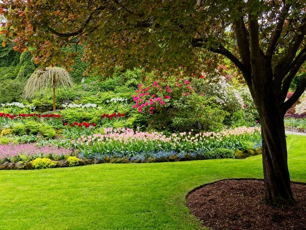 Üppiger Garten Blüht Frühling Mit Tulpen Blumenbeeten Und Rasen lizenzfreie Stockfotos