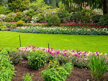 İlkbaharda açan yemyeşil bahçe laleler, çiçek tarlaları ve çimlerle