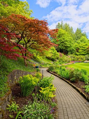 İlkbaharda açan yemyeşil bahçe laleler, çiçek tarlaları ve çimlerle