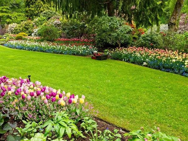 Rigoglioso Giardino Fiorito Primavera Con Tulipani Aiuole Prati — Foto Stock