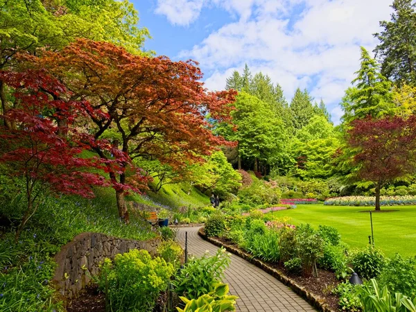 Rigoglioso Giardino Fiorito Primavera Con Tulipani Aiuole Prati — Foto Stock