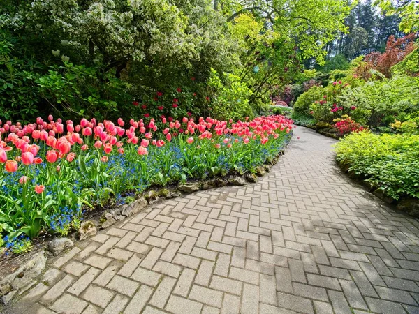 Exuberante Jardín Que Florece Primavera Con Tulipanes Macizos Flores Césped — Foto de Stock