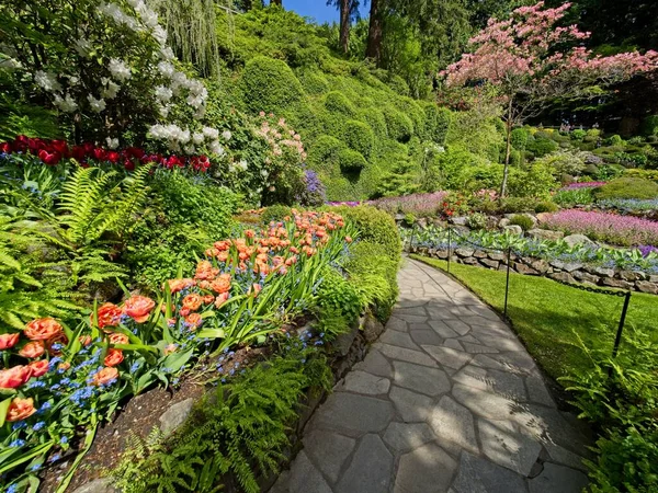 Lummig Trädgård Blommar Våren Med Tulpaner Rabatter Och Gräsmattor — Stockfoto