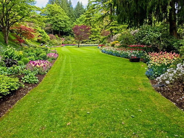 Üppiger Garten Blüht Frühling Mit Tulpen Blumenbeeten Und Rasen Stockfoto