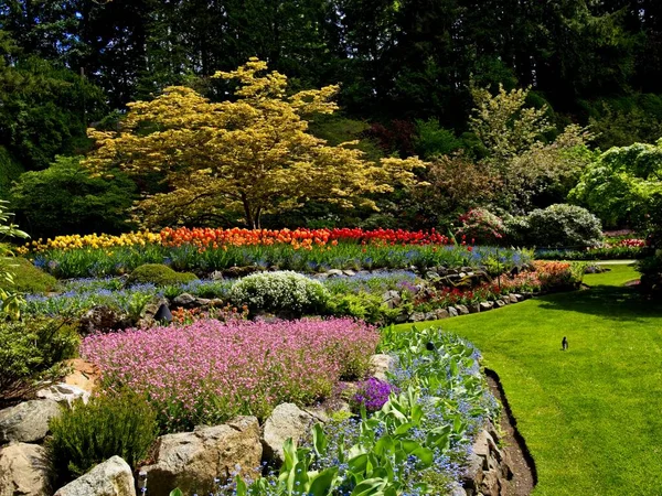 Jardim Exuberante Florescendo Primavera Com Tulipas Canteiros Flores Gramados — Fotografia de Stock