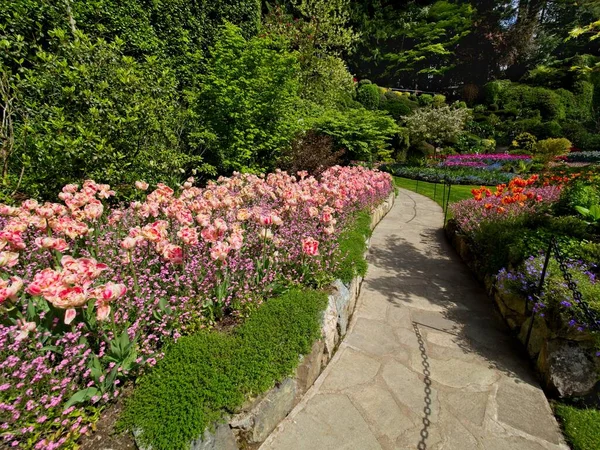 Πλούσιος Κήπος Ανθίζει Την Άνοιξη Τουλίπες Παρτέρια Και Γκαζόν — Φωτογραφία Αρχείου