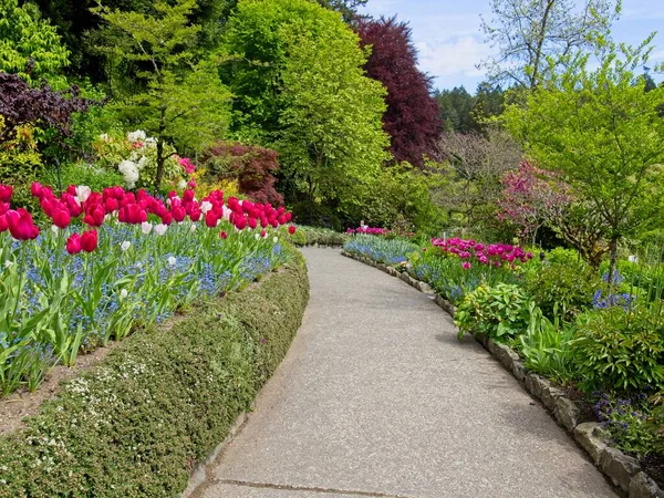 Rigoglioso Giardino Fiorito Primavera Con Tulipani Aiuole Prati — Foto Stock