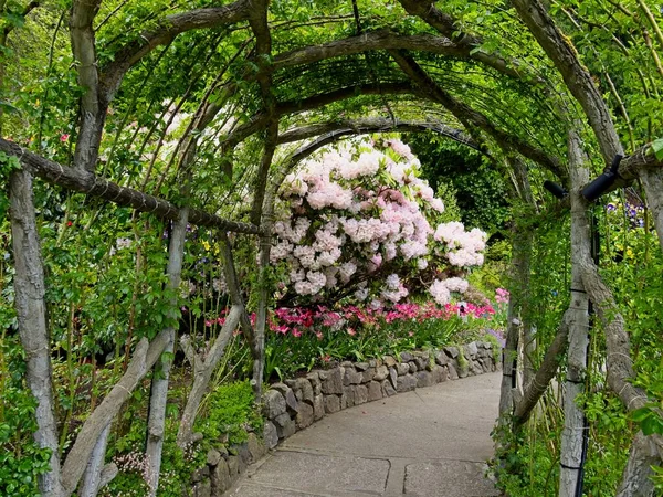 Jardim Exuberante Florescendo Primavera Com Tulipas Canteiros Flores Gramados — Fotografia de Stock