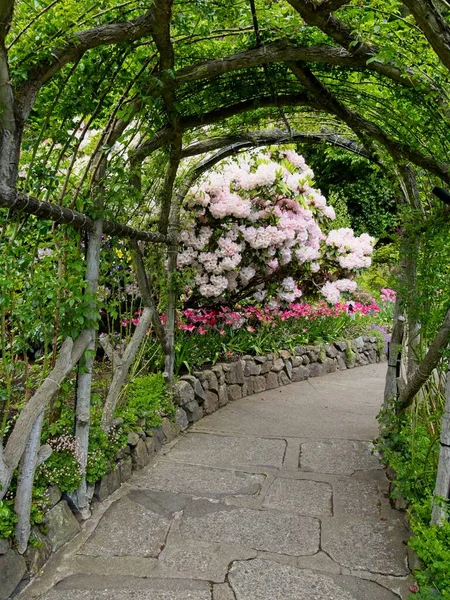 Exuberante Jardín Que Florece Primavera Con Tulipanes Macizos Flores Césped — Foto de Stock