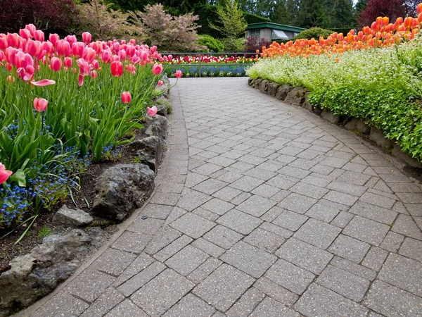 Rigoglioso Giardino Fiorito Primavera Con Tulipani Aiuole Prati — Foto Stock