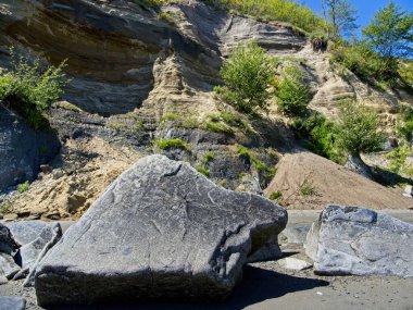 Victoria BC 'deki Island View Sahili' nin muhteşem manzarası.