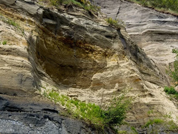 Victoria BC 'deki Island View Sahili' nin muhteşem manzarası.