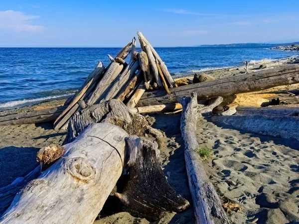 Driftwood Strewn Shore Island View Beach Vancouver Island — 스톡 사진