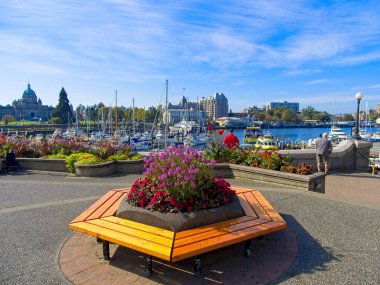 5 Ekim 2022 - Victoria BC, Kanada. MÖ Victoria İç Limanı Sonbaharın başlarında