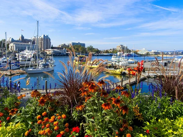 October 2022 Victoria Canada Inner Harbor Victoria Early Fall — Stock Photo, Image