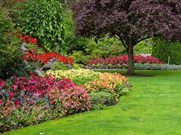 Blumenbeet Mit Roten Orangen Und Gelben Blüten Sorgfältig Angelegten Garten Stockfoto