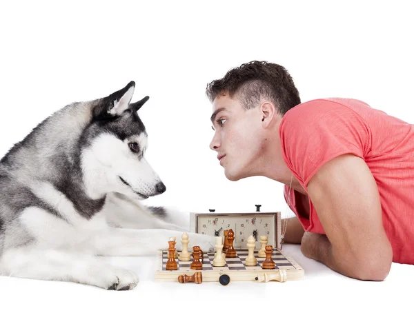 Мужчина играет в шахматы с собакой — стоковое фото