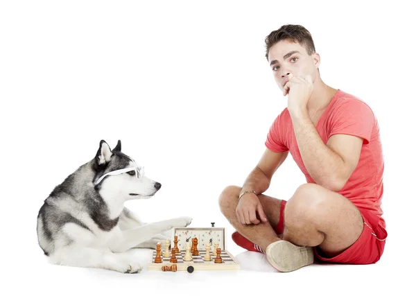 Мужчина играет в шахматы с собакой — стоковое фото