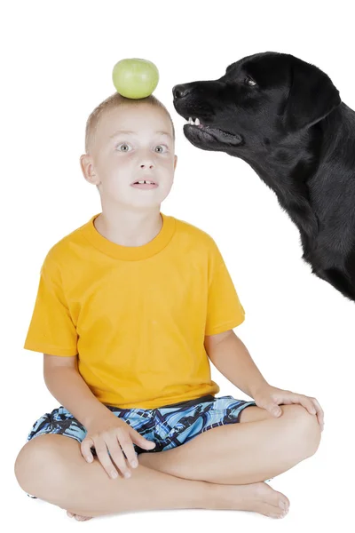 Dog steals an Apple on his head boy — Stock Photo, Image