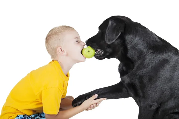 A child and a dog bite an Apple — Stock Photo, Image