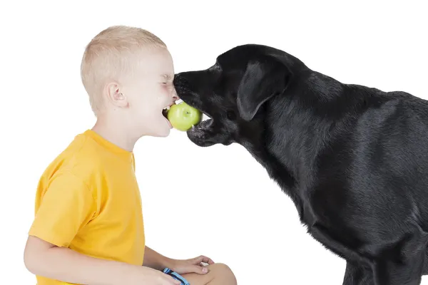 Uma criança e um cão mordem uma maçã — Fotografia de Stock