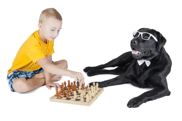 Niño y labrodor retriever jugando ajedrez —  Fotos de Stock