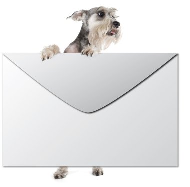 bir zarf ile köpek