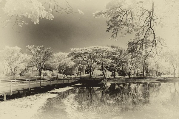 Vista del ponte di legno, alberi, giardino e lago — Foto Stock