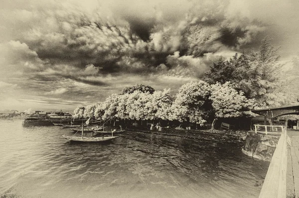 View of floating boats at foreshore — Stockfoto