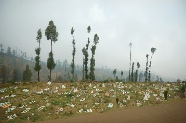 Mezarlık ağaçların yanındaki görüntüle