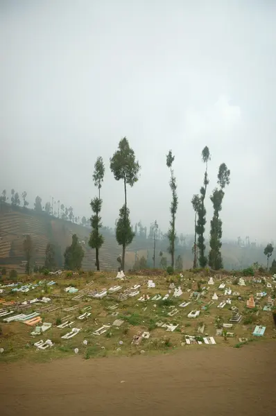 Вид на кладбище возле деревьев — стоковое фото
