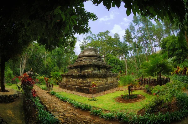 Vista del Templo Sumberawan al lado del jardín — Foto de Stock