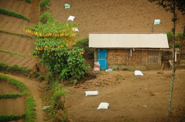 eğik, düz üstünde tek ev
