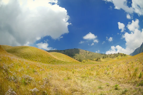 Vista del paisaje de colinas y prados — Foto de Stock