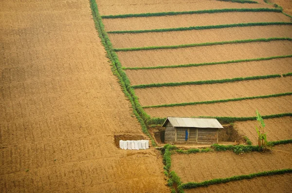 Jediný dům na skloněné hladké — Stock fotografie