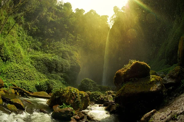 Veduta della cascata e del paesaggio forestale verdeggiante — Foto Stock