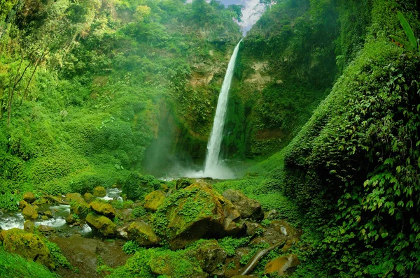 Vista da cachoeira e paisagem florestal esverdeada — Fotografia de Stock