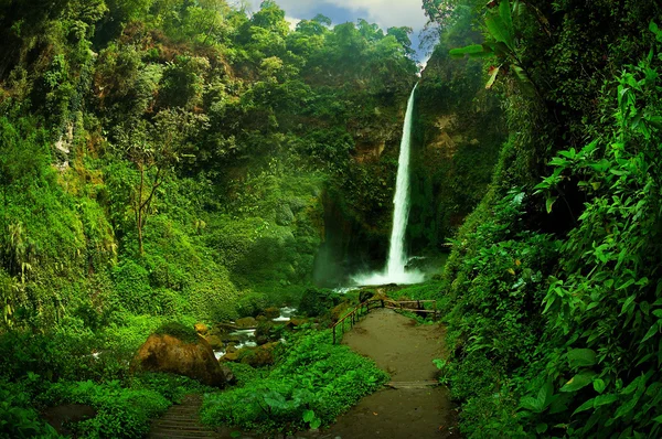 Vista de la cascada y el paisaje del bosque verdoso —  Fotos de Stock