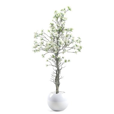 Saksıda 3 boyutlu çiçek ve süs bitkileri.