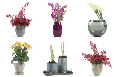 Saksıda 3 boyutlu çiçek ve süs bitkileri.