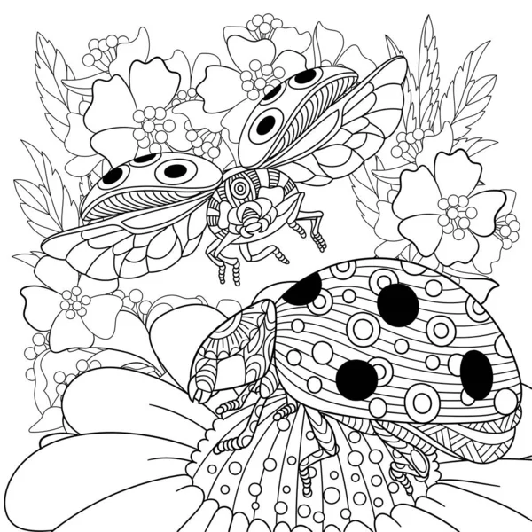 Adult Coloring Book Page Ladybugs Daisy Flowers — Image vectorielle
