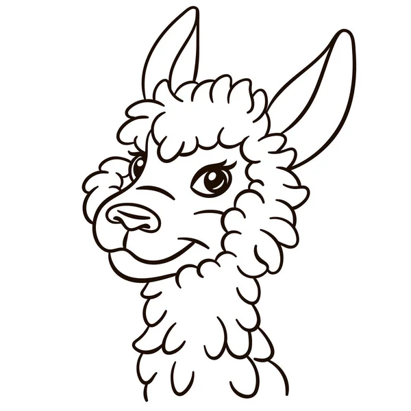 Llama Alpaca Cartoon Illustration Cute Baby Animal Print Shirts Mugs — Stock Vector