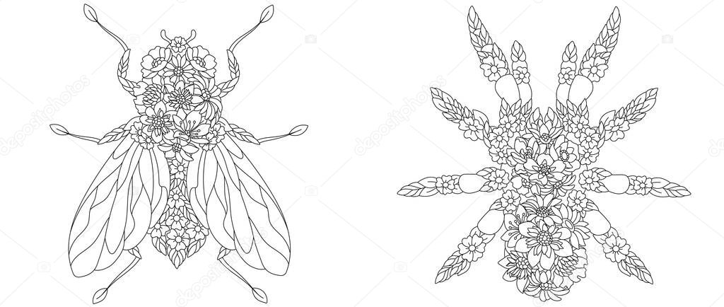 Coloring pages set with fantasy floral animals. House fly and spider with flowers
