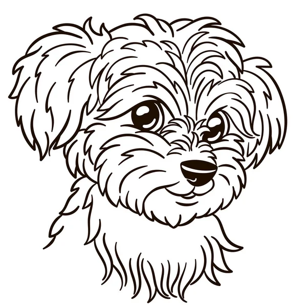 Maltese Dog Cartoon Illustration Cute Animal Print Shirts Mugs Totes — Image vectorielle